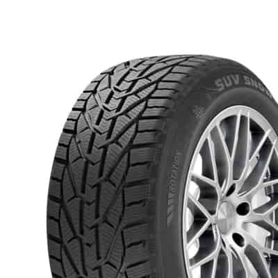 195/65 R15 91H Snow Riken